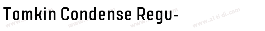 Tomkin Condense Regu字体转换